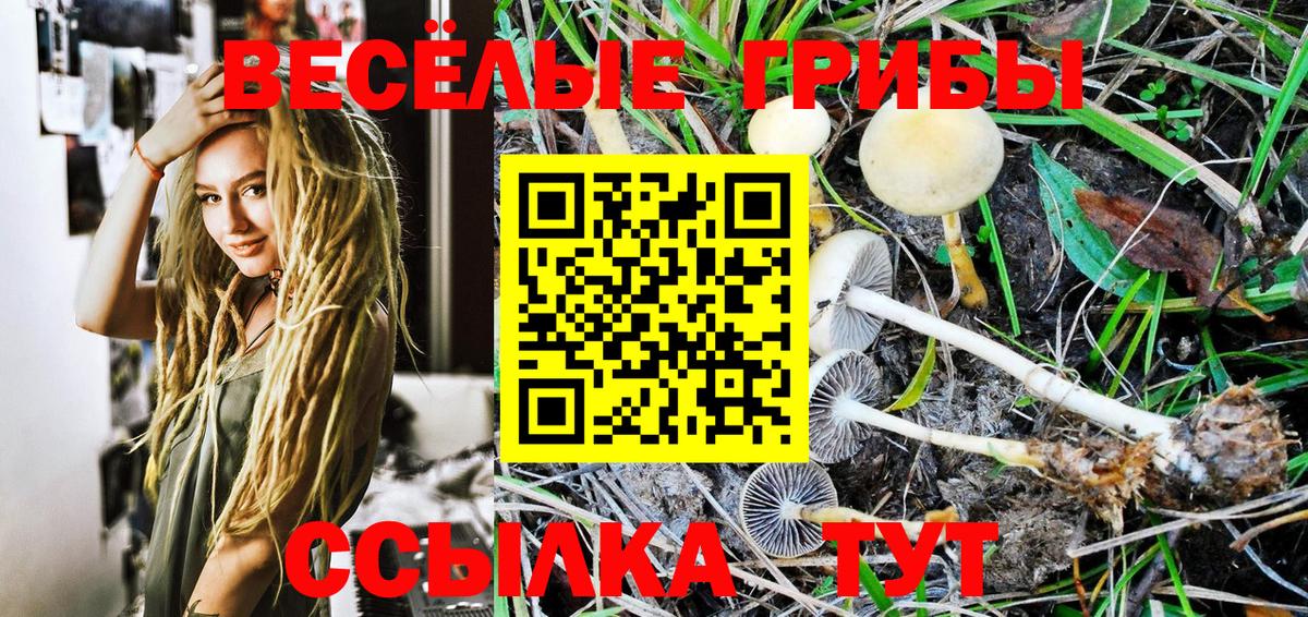 Гуково  Галлюциногенные грибы Psilocybine cubensis  Вход с VPN 
